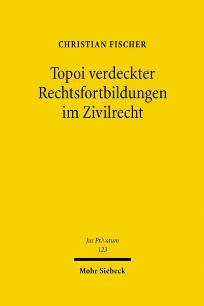 Produktbild: Topoi verdeckter Rechtsfortbildungen im Zivilrecht