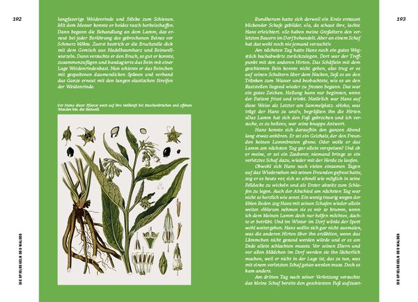 Produktbild: Strategien der Natur