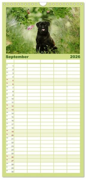 Produktbild: Familienplaner 2026 - Der MOPS-Kalender mit 5 Spalten (Wandkalender, 21 x 45 cm) CALVENDO