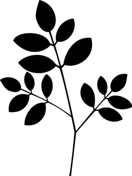 Produktbild: Stempelset "Natur"