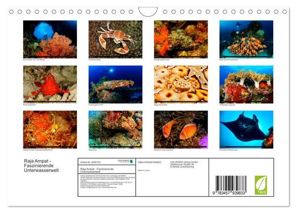 Produktbild: Raja Ampat - Faszinierende Unterwasserwelt (Wandkalender 2026 DIN A4 quer), CALVENDO Monatskalender