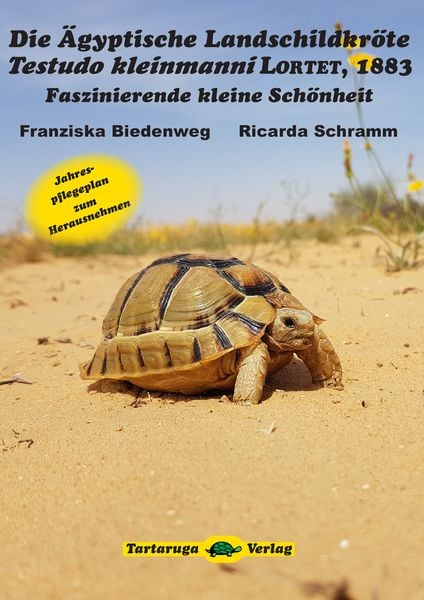 Produktbild: Die &Auml;gyptische Landschildkr&ouml;te Testudo kleinmanni Lortet, 1883