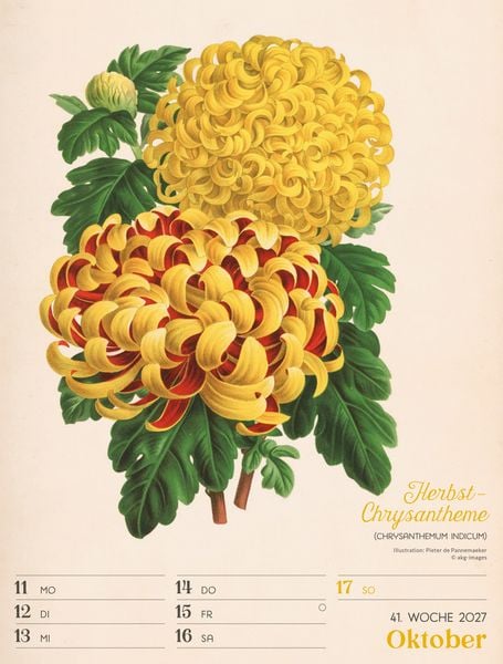Produktbild: Ars Floralis Wochenplaner Kalender 2027