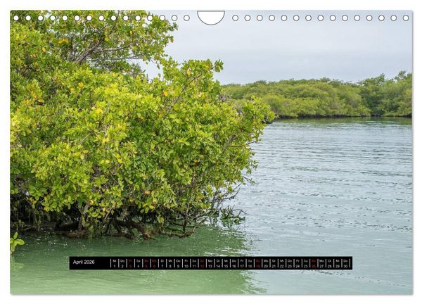 Produktbild: Galapagos- Landschaften (Wandkalender 2026 DIN A4 quer), CALVENDO Monatskalender