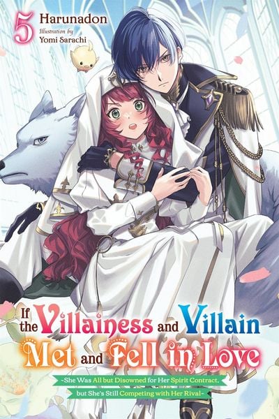 Produktbild: If the Villainess and Villain Met and Fell in Love, Vol. 5 (Light Novel)