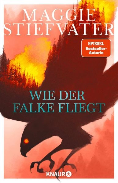 Produktbild: Wie der Falke fliegt