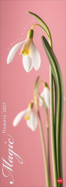 Produktbild: Magic Flowers Vertical Kalender 2027