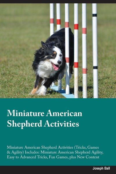 Produktbild: Miniature American Shepherd Activities Miniature American Shepherd Activities (Tricks, Games & Agility) Includes