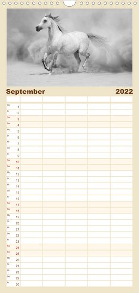 Produktbild: Familienplaner Arabische Pferde (Wandkalender 2022 , 21 cm x 45 cm, hoch)