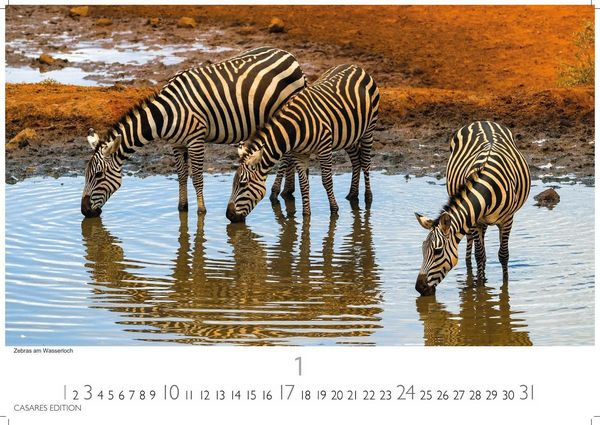 Produktbild: Kenia & Serengheti Kalender 2027 &ndash; Wandkalender | Fotokalender Afrika 35x50cm &ndash; Wundersch&ouml;ne Tierkalender- und Naturschutzfotos.