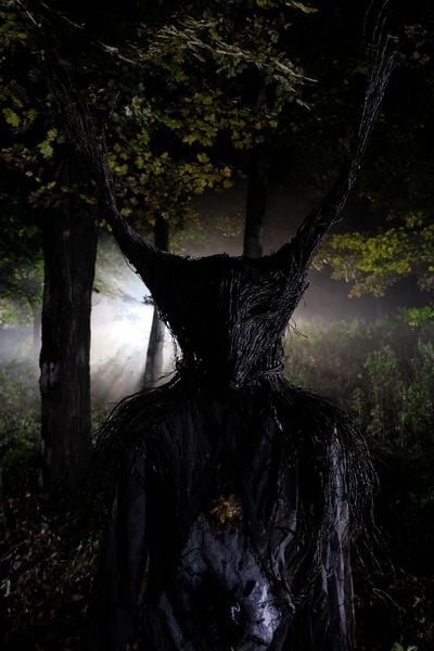 Produktbild: Im Kopf des Killers - A Wounded Fawn