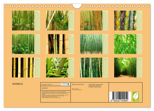 Produktbild: BAMBUS (Wandkalender 2026 DIN A4 quer), CALVENDO Monatskalender