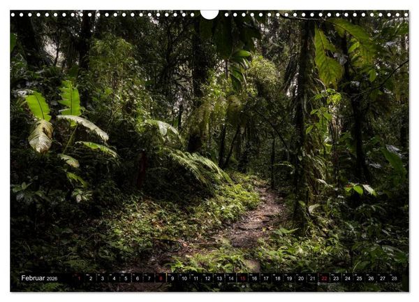 Produktbild: COSTA RICA Farben und Licht (Wandkalender 2026 DIN A3 quer), CALVENDO Monatskalender