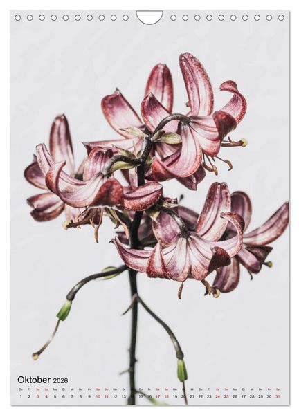 Produktbild: Pure Flowers (Wandkalender 2026 DIN A4 hoch), CALVENDO Monatskalender