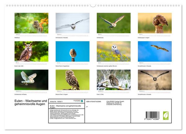 Produktbild: Eulen - Wachsame und geheimnisvolle Augen (hochwertiger Premium Wandkalender 2026 DIN A2 quer), Kunstdruck in Hochglanz