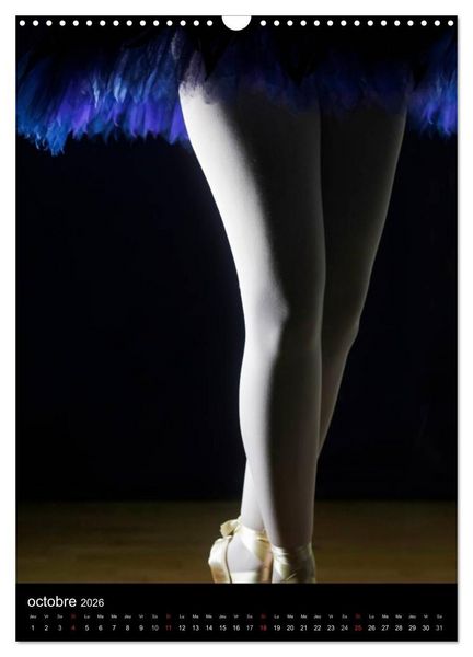 Produktbild: BALLERINE (Calendrier mural 2026 DIN A3 horizontal), CALVENDO calendrier mensuel