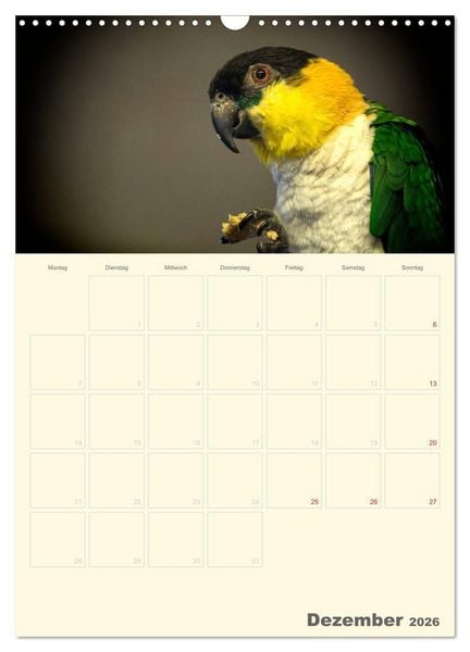 Produktbild: Kunterbunter Papageien-Planer (Wandkalender 2026 DIN A3 hoch), CALVENDO Monatskalender
