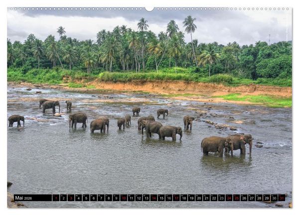 Produktbild: Sri Lanka 2026 &ndash; Exotische Welt (hochwertiger Premium Wandkalender 2026 DIN A2 quer), Kunstdruck in Hochglanz