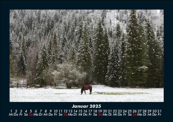 Produktbild: Die Welt der Pferde 2025 Fotokalender DIN A5
