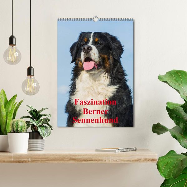 Produktbild: Faszination Berner Sennenhund (Wandkalender 2026 DIN A3 hoch), CALVENDO Monatskalender