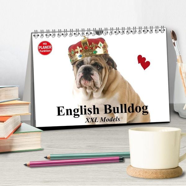 Produktbild: English Bulldog XXL Models (Tischkalender 2026 DIN A5 quer), CALVENDO Monatskalender