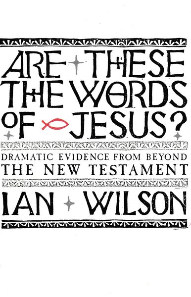Produktbild: Are these the Words of Jesus?