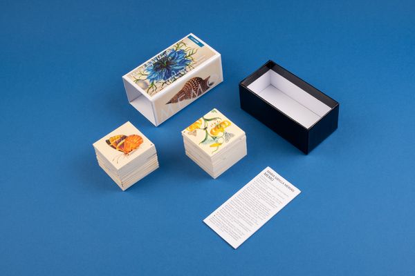 Produktbild: Maria Sibylla Merian. Memo