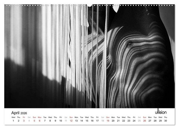 Produktbild: Male Nude Art (High Quality Premium Wall Calendar 2026 DIN A2 landscape),CALVENDO 12 Month Wall Calendar