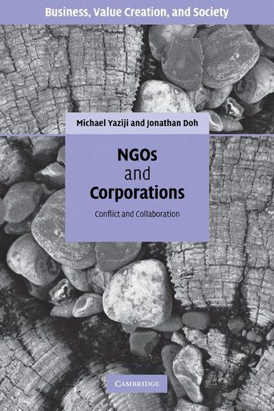 Produktbild: NGOs and Corporations