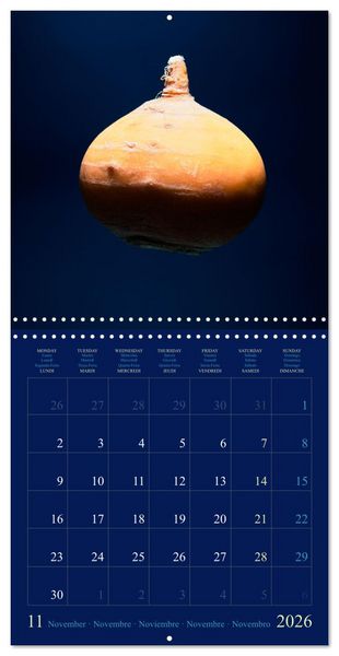 Produktbild: Les l&eacute;gumes hauts en couleur (Calendrier mural carr&eacute; 2026 30x30 cm) Calendrier double avec une page pour vos prises de notes