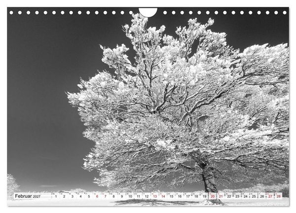 Produktbild: Traumhafte Allg&auml;uer Alpen (Wandkalender 2027 DIN A4 quer), CALVENDO Monatskalender