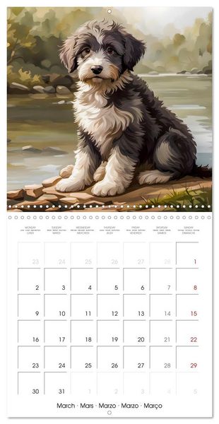 Produktbild: Aussiedoodle - Dogs to love (Wall Calendar 2026 12 &times; 12 Inch) CALVENDO 12 Month Wall Calendar