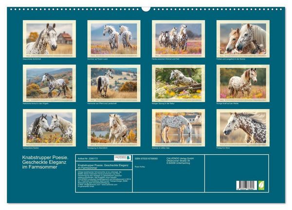 Produktbild: Knabstrupper Poesie. Gescheckte Eleganz im Farmsommer (Wandkalender 2027 DIN A2 quer), CALVENDO Monatskalender