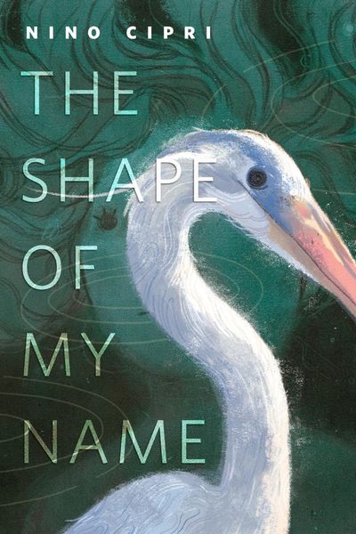 Produktbild: The Shape of My Name