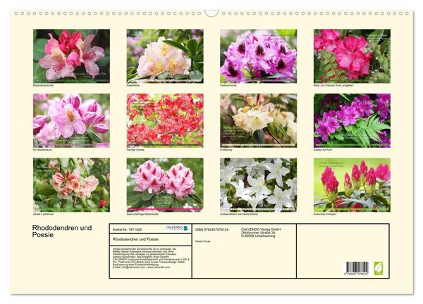 Produktbild: Rhododendren und Poesie (Wandkalender 2026 DIN A2 quer), CALVENDO Monatskalender