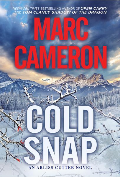 Produktbild: Cold Snap