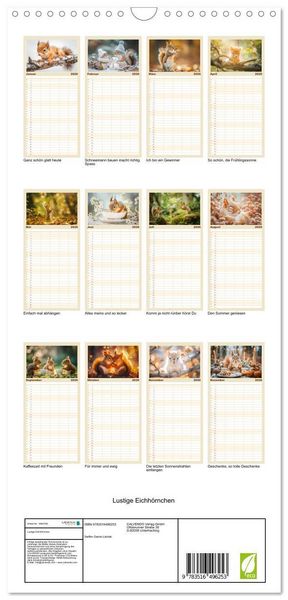 Produktbild: Familienplaner 2026 - Lustige Eichh&ouml;rnchen mit 5 Spalten (Wandkalender, 21 x 45 cm) CALVENDO