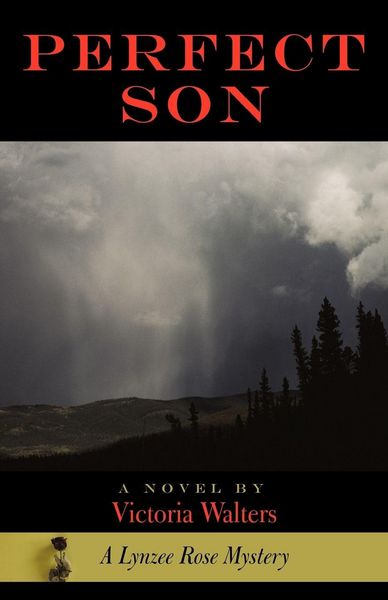 Produktbild: Perfect Son