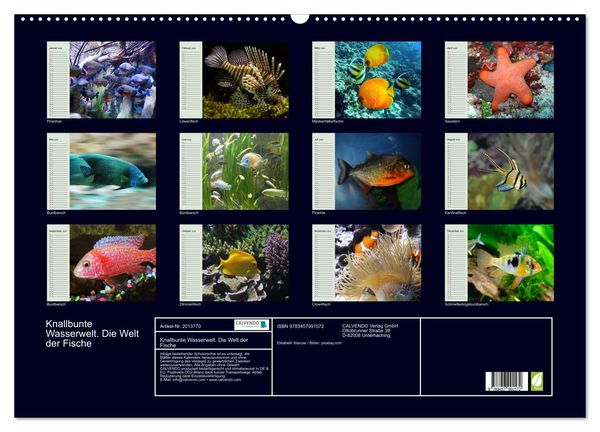 Produktbild: Knallbunte Wasserwelt. Die Welt der Fische (Wandkalender 2026 DIN A2 quer), CALVENDO Monatskalender