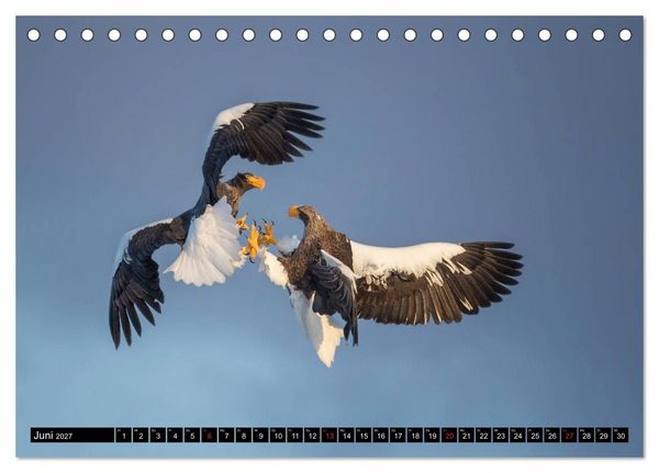Produktbild: Japanische Vogelwelt im Winter (Tischkalender 2027 DIN A5 quer), CALVENDO Monatskalender