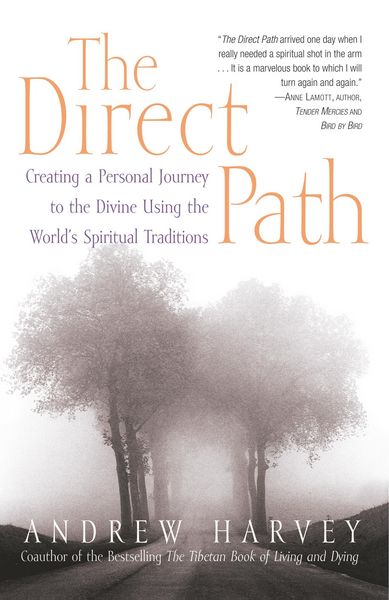 Produktbild: The Direct Path