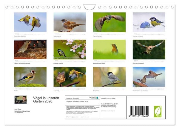Produktbild: V&ouml;gel in unseren G&auml;rten 2026 (Wandkalender 2026 DIN A4 quer), CALVENDO Monatskalender
