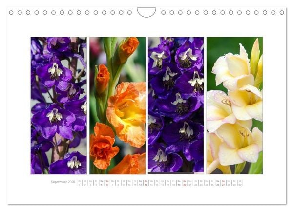 Produktbild: Gartenfreude (Wandkalender 2026 DIN A4 quer), CALVENDO Monatskalender