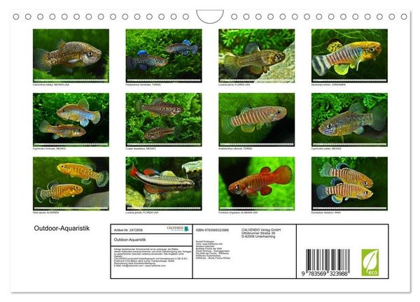 Produktbild: Outdoor-Aquaristik (Wandkalender 2027 DIN A4 quer), CALVENDO Monatskalender