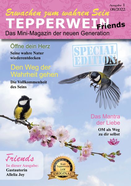 Produktbild: Erwachen zum wahren Sein - Tepperwein Friends Magazin