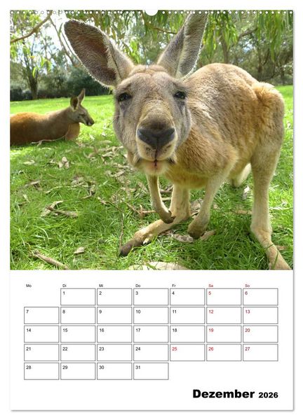 Produktbild: Australiens faszinierende Tierwelt (Wandkalender 2026 DIN A2 hoch), CALVENDO Monatskalender
