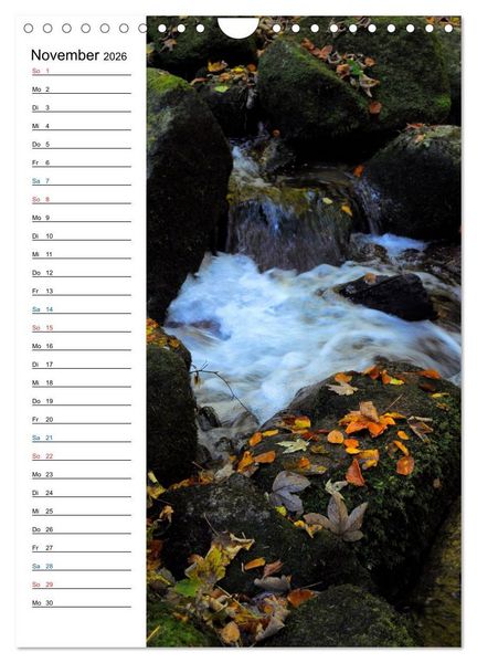 Produktbild: Schwarzwald (Wandkalender 2026 DIN A4 hoch), CALVENDO Monatskalender