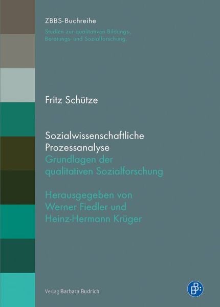 Produktbild: Sozialwissenschaftliche Prozessanalyse