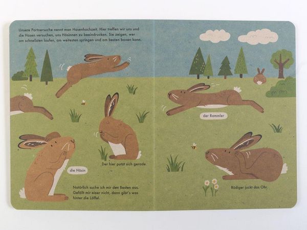 Produktbild: Ich bin der Hase