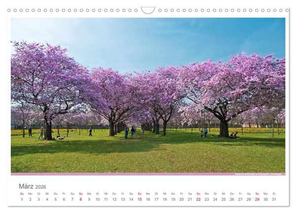 Produktbild: Der Neckar - Unterwegs in Deutschland (Wandkalender 2026 DIN A3 quer), CALVENDO Monatskalender